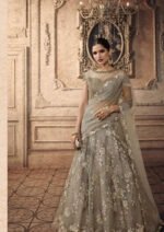Grey Net antique zari embroidered Lehenga
