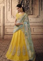 Yellow Net zari embroidered Lehenga