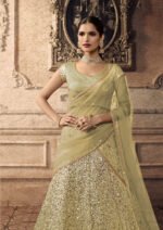 Olive Green Sequined Net Lehenga