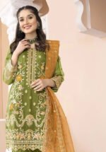 Organza Heavy Embroidery Suit