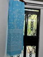 Sky Blue Tepchi Chikankari Saree - Image 3