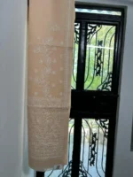 Beige Tepchi Chikankari Saree - Image 3